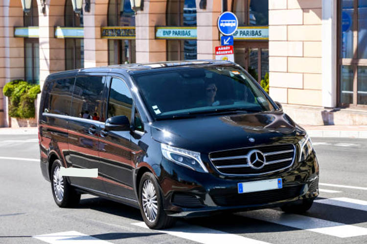 Mercedes Viano